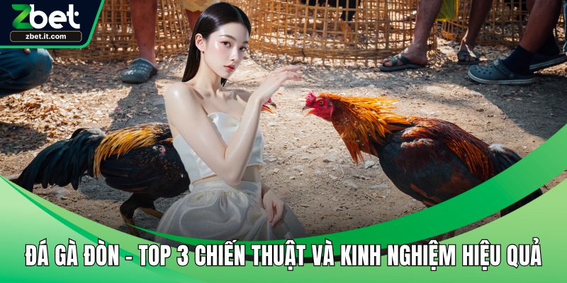 Đá gà đòn